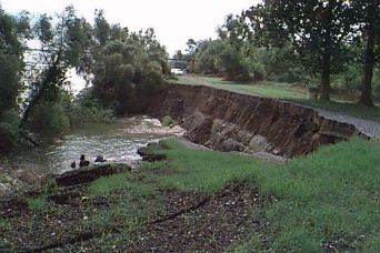 An eroded bank