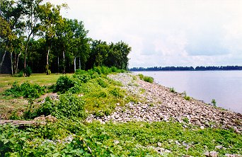 A bank after the revetment construction