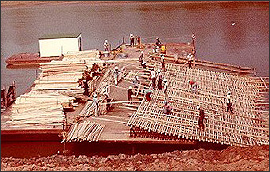 Wood revetment construction